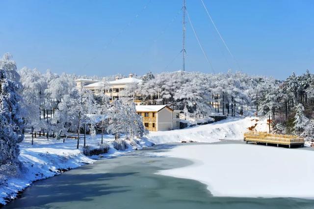 奇遇江南闯“雪国”!3H车程遇见奇幻雪域,沉迷奉化海味吧!