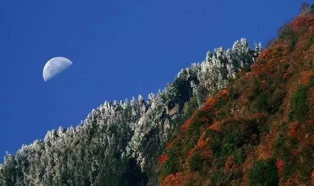 元旦哪里游?相约北川,九皇山滑雪、羌寨赛舞